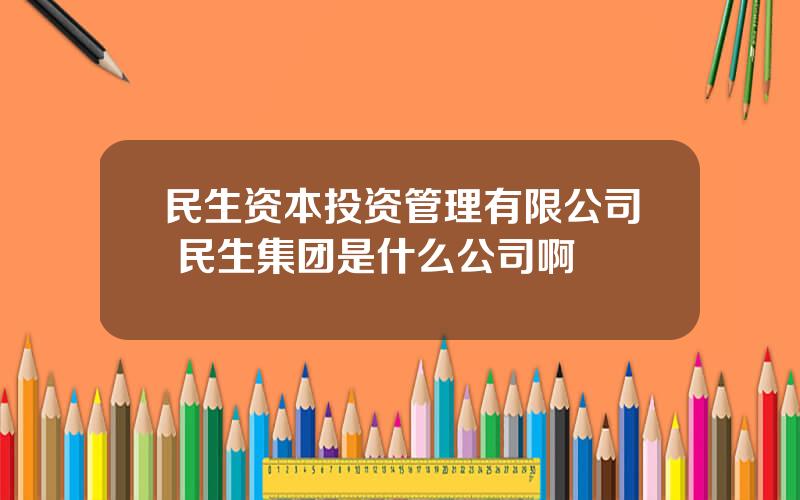 民生资本投资管理有限公司 民生集团是什么公司啊